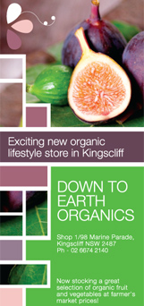 Kingscliff Flyer Design and Printing