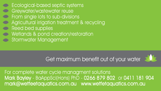 Wet Feet Aquatics