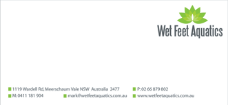 Wet Feet Aquatics