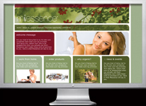 Shopping Cart Website Design Gold Coast and Tweed Heads