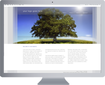 Gold Coast Website Design 