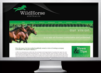 Tweed Heads and Gold Coast Website Design 