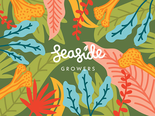 Burleigh Heads Graphic Design Company 