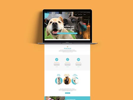 Gold Coast Website Design