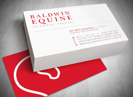 Baldwin Equine Gold Coast Logo, website and Letterhead and Stationary Design