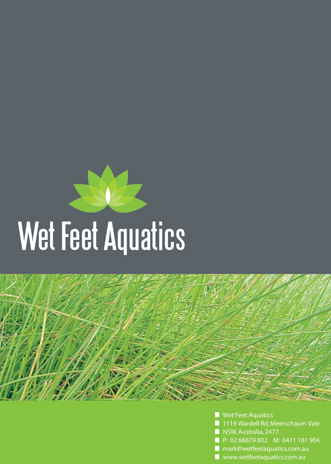 Wet Feet Aquatics