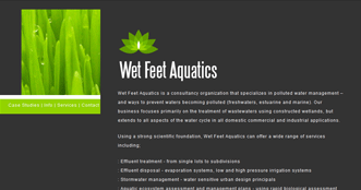 Wet Feet Aquatics